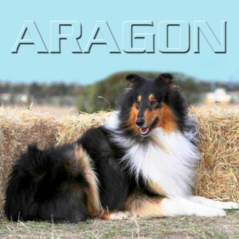 Baqilodge On The Ball - Aragon